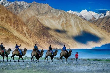 Amritsar to Leh Taxi